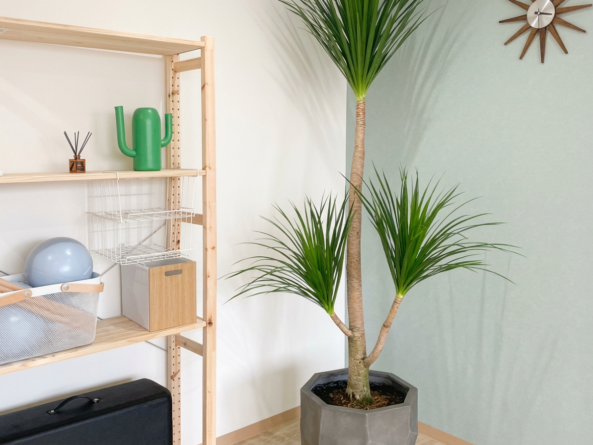 1_Apply_a_natural_filter_across_the_entire_image_-1765255660570