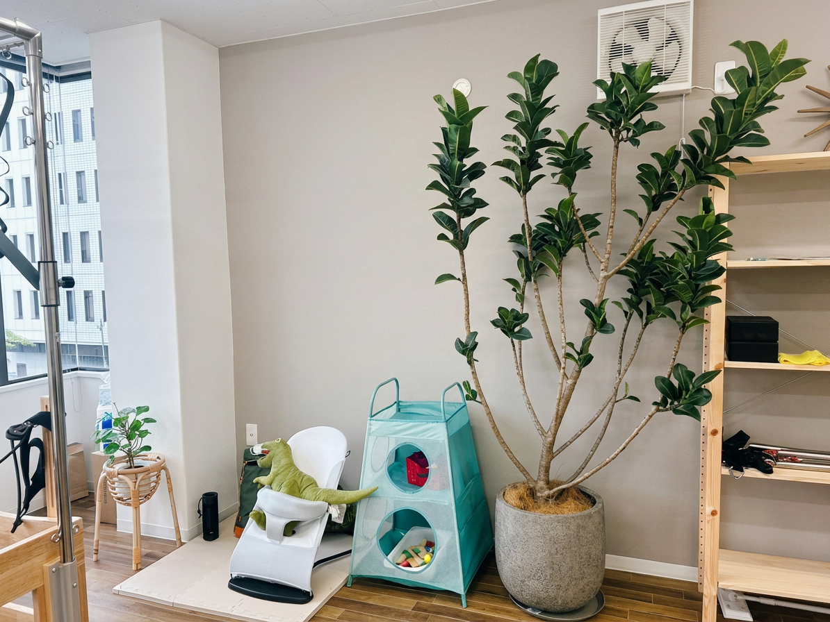 Apply_a_natural_filter_to_increase_the_overall_bri-1765076134712