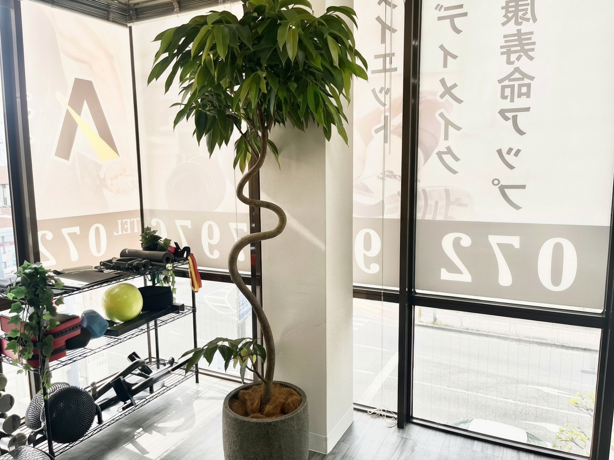 Enhance_the_brightness_and_clarity_of_the_entire_i-1765154925423