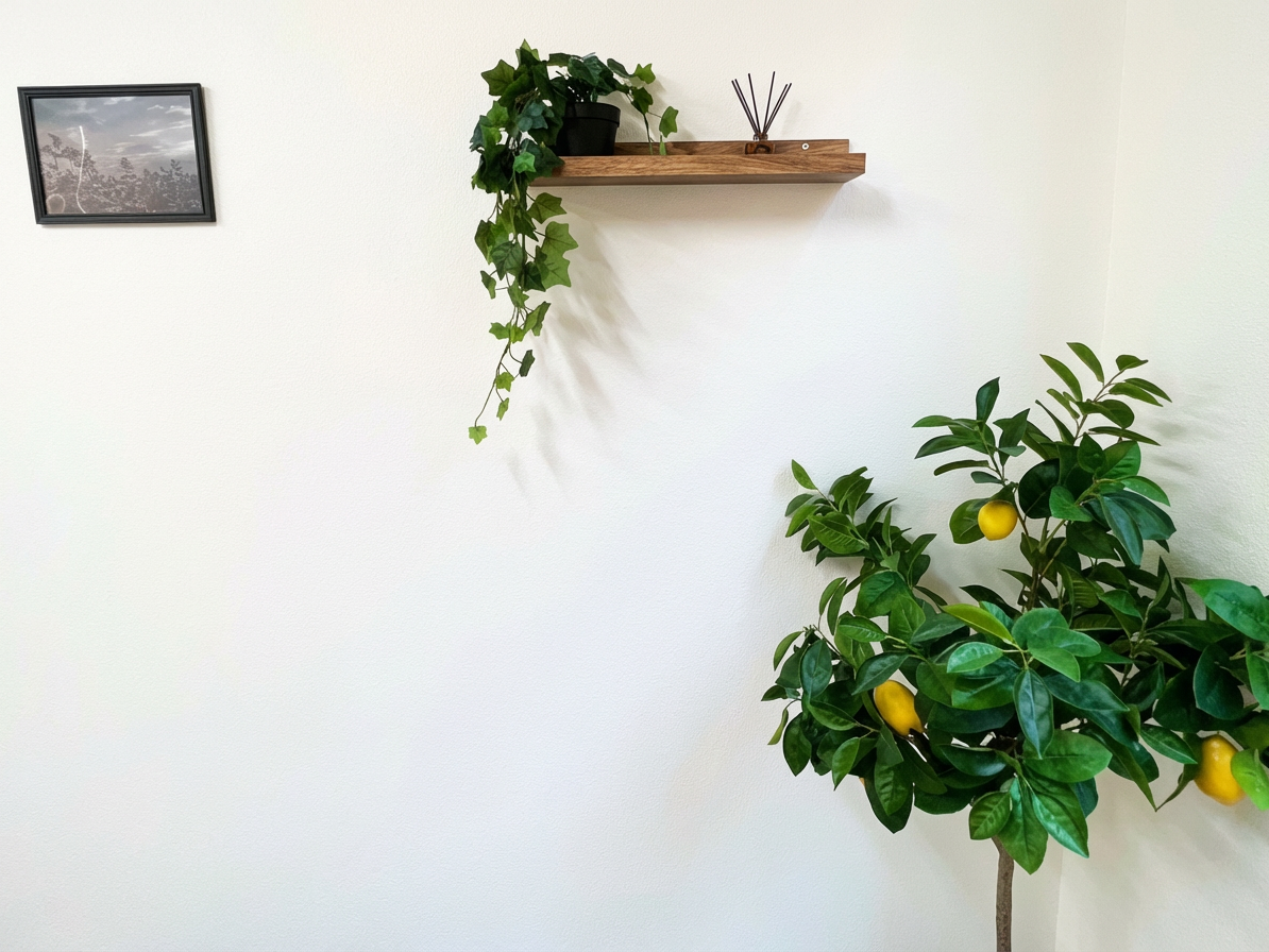 Enhance_the_image_maintaining_the_authentic_store_-1765071037180(1)