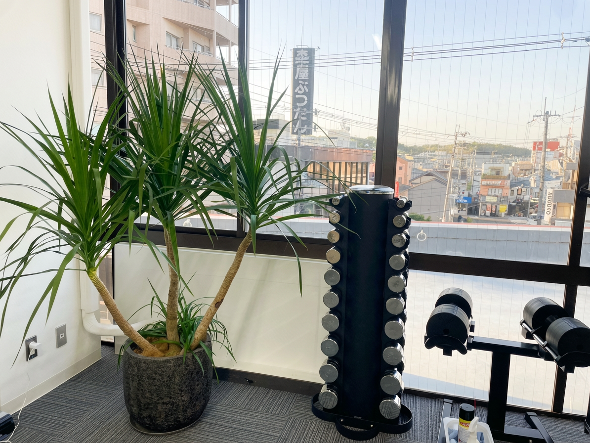 Enhance_the_overall_brightness_and_clarity_of_the_-1765435527310